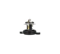 NRF 725379 Termostato motore