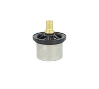NRF 725480 Termostato motore