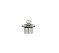 NRF 725511 Termostato motore