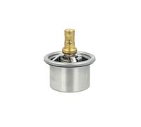 NRF 725518 Termostato motore