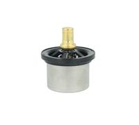 NRF 725523 Termostato motore