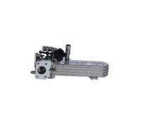 NRF AGR-Valvola Per VW Passat Variant 3C5 3C2 1K2 Audi A3 8P1 8PA 1Z5