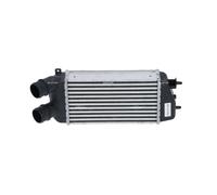 NRF Intercooler per Citroen