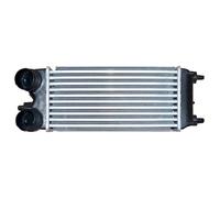 NRF Intercooler per Ford B-Max Ecosport Fiesta Ka + Tourneo Transit