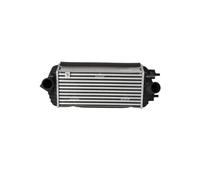 NRF Intercooler per Kia Carens