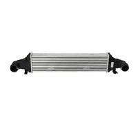NRF Intercooler Per Mercedes CLS GLK Classe