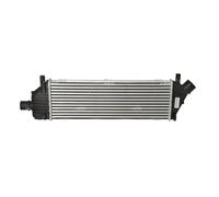 NRF Intercooler per Mozzo Nissan