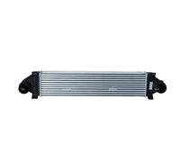 NRF Intercooler per Paese Rover