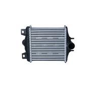 NRF Intercooler per Terra Rover