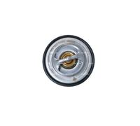 NRF Termostato per Citroen Ford Jeep Peugeot Renault Suzuki Volvo