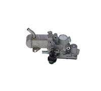 NRF Modulo EGR per RENAULT 48207
