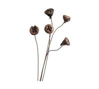 Nsaroche 3 Pezzi Bouquet di Fiori Secchi Decorazione Floreale Da Tavolo Arrangiamento di Piante Essiccate Rustico per Composizione Fotografica Adatto per Matri, Style G