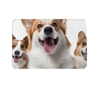 NSDdefAWCGT Zerbino per porta d'ingresso, intrappola lo sporco, tappetino di benvenuto per esterni e interni, con cane che sporge la lingua, antiscivolo, a basso profilo, per porta sul retro, patio
