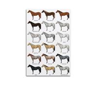 NSNAL Poster decorativo da parete su tela, motivo: specie di cavalli, poster decorativo da parete, stampa moderna, per camera da letto, 30 x 45 cm