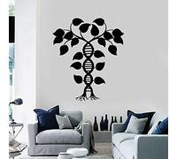 NSRJDSYT Decalcomania da Muro in Vinile Dna Family Tree of Life Spiral Genus Biologia Wall Stickers Science Lab Classroom Interior Decor Art Mural 30x34cm