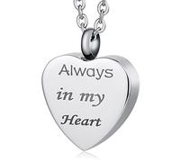 NTALJC Ciondolo da donna a forma di cuore, collana con urna in acciaio inox, medaglione commemorativo per uomo, con kit imbuto e borsa