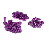 NTT Kit di Viti Decorative ERGAL BUXY VIOLA