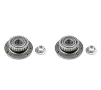 NTY 2x Cuscinetto Ruota Mozzo Asse Posteriore Destro SX per Peugeot 406 8B 1.8