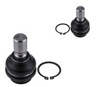 NTY 2x Giunto di Supporto Guida Anteriore Sinistra Dx per Nissan NP300 Navara