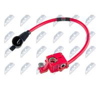 NTY Adattatore batteria BMW 3,0 4,4 61129217033