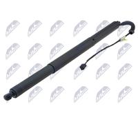 NTY Ammortizatore pneumatico, Cofano bagagli /vano carico compatibile con AUDI