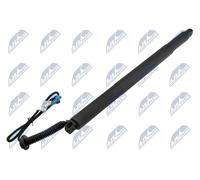 NTY AE-BM-095 Motore elettrico, Cofano posteriore per BMW