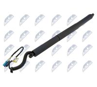 NTY Molle a Gas Portellone Posteriore Sinistra per BMW X5 Xdrive30d,Xdrive40d