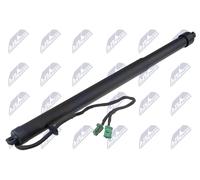 NTY Ammortizatore pneumatico, Cofano bagagli /vano carico compatibile con