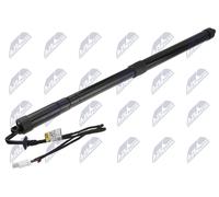 Motore sollevamento portellone bagagliaio Sx AE-CT-067 NTY