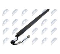 NTY AE-FR-069 Ammortizatore pneumatico, Cofano bagagli /vano carico per FORD USA