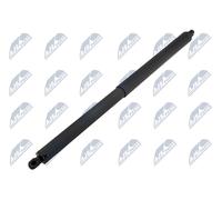 Molla a gas bagagliaio posteriore Dx AE-FR-070 NTY