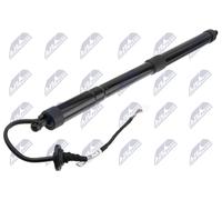 Motore sollevamento portellone bagagliaio Dx AE-MS-014 NTY