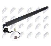 NTY AE-NS-044 Motore elettrico, Cofano posteriore per NISSAN