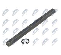 NTY Albero motore Pompa olio BPO-VW-027 per VW GOLF VI (5K1) SCIROCCO (137, 138)