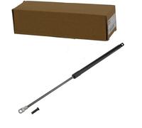 NTY AE-FT-043 Ammortizatore pneumatico, Cofano bagagli / vano carico