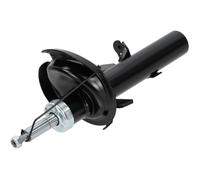 NTY Ammortizzatore A Gas Anteriore Destro Per Ford C-Max II DXA/CB7 DXA/CEU 1.0