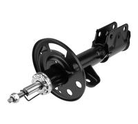 NTY Ammortizzatore A Gas Anteriore Destro Per FORD USA Explorer