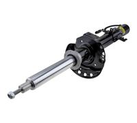 Ammortizzatore Assale anteriore Sx Spina superiore A-LR-002 NTY per LAND ROVER