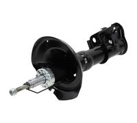 NTY Ammortizzatore a Gas Anteriore Sinistra per Honda Cr-V II Rd _ 2.0