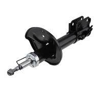 NTY Ammortizzatore a Gas Anteriore Sinistra per Tucson Jm 2.0 Kia Sportage Je _