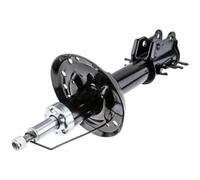 NTY Ammortizzatore A Gas Anteriore Sinistro Per BMW 6 Serie E24 M 635 CSi