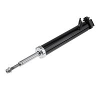 NTY Ammortizzatore a Gas Posteriore Sinistra per BMW X5 E70 3.0d xDrive30d X6