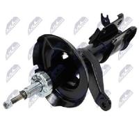 NTY Ammortizzatore A-HD-014 Anteriore Destro Per Honda - Gas, Rinforzato