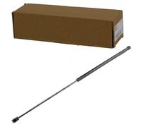 NTY Molla a gas cofano motore AE-AU-036 per Audi A3 2003 Cabrio Sportback