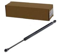 NTY AE-FT-025 Ammortizzatore pneumatico cofano motore per FIAT 500L (351, 352)