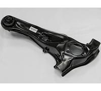 NTY ASSALE POSTERIORE DX, INFERIORE