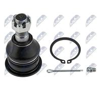 NTY ASSE ANTERIORE SINISTRO, ASSIALE ANTERIORE DESTRO INFERIORE