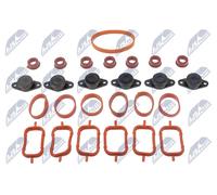 NTY Kit di Riparazione per Modulo Collettore Aspirazione BMW 5er Touring 525d