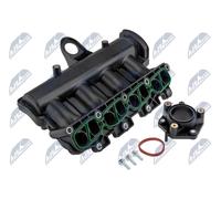 NTY BKS-FT-006 Modulo collettore aspirazione per FIAT,LANCIA,OPEL