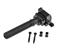 NTY Bobina Accensione Modulo Adatto A per Chrysler 300 C LX 3.5 LR Dodge Carica